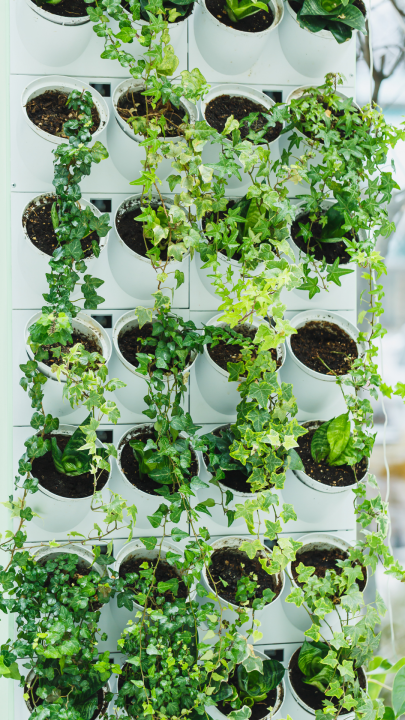 Vertical Gardens Maximize Wall Space