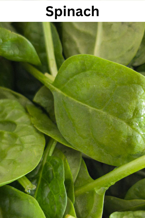 Spinach