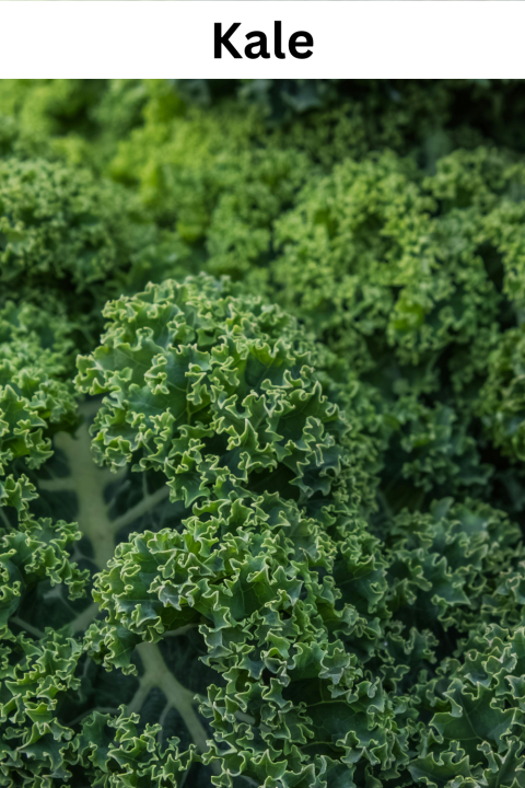 Kale