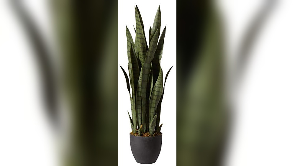 Best Faux Plants for Indoors 2026: Top Picks for Easy Decor