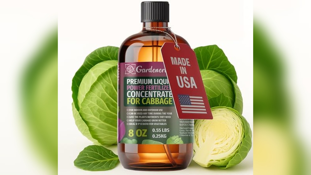 best fertilizer for cabbage plants