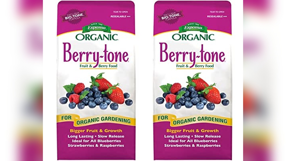 best fertilizer for raspberry plants