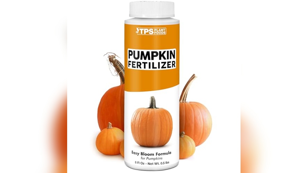 best fertilizer for squash plants