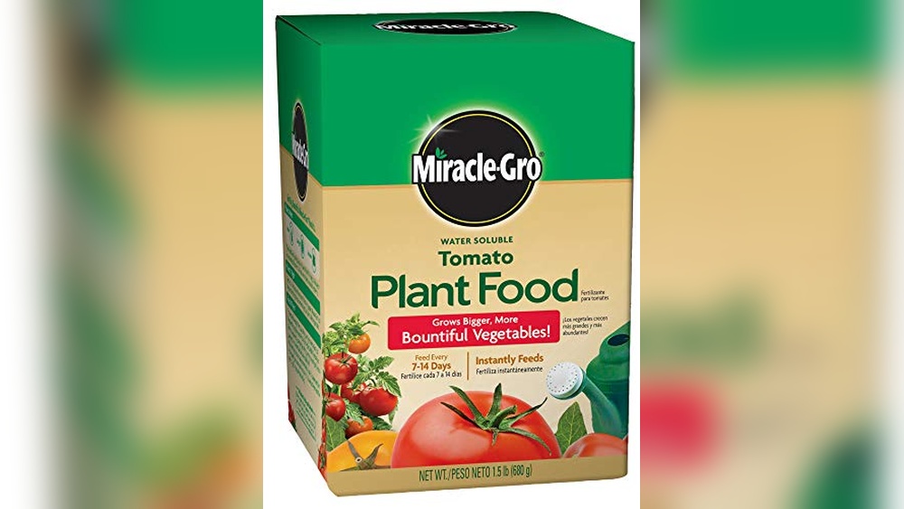 best fertilizer for tomatoes plants