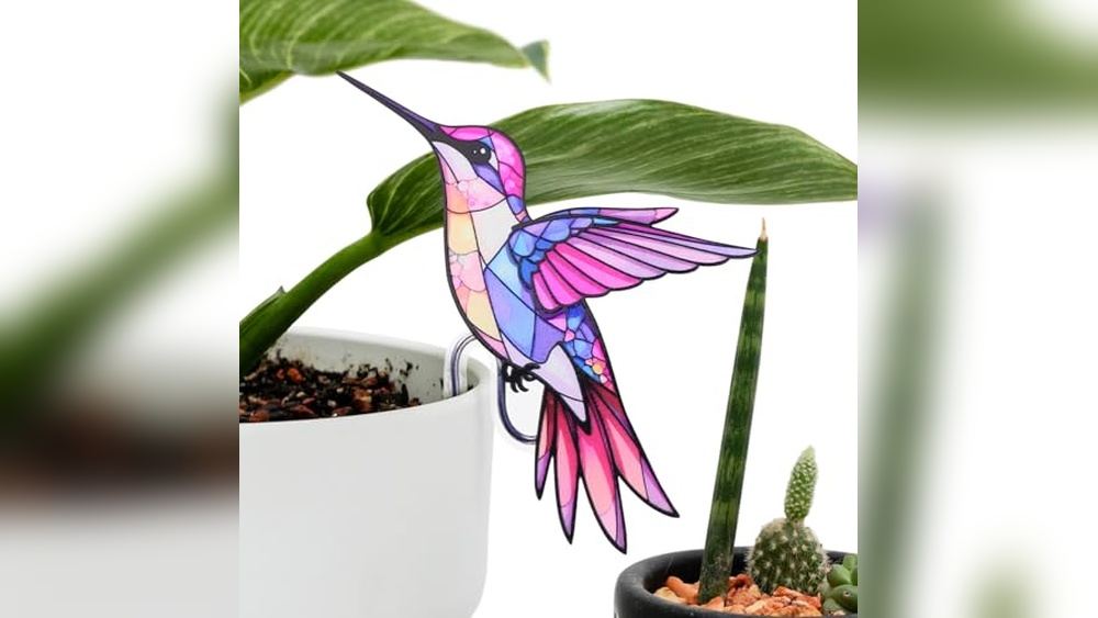best hanging plants for hummingbirds