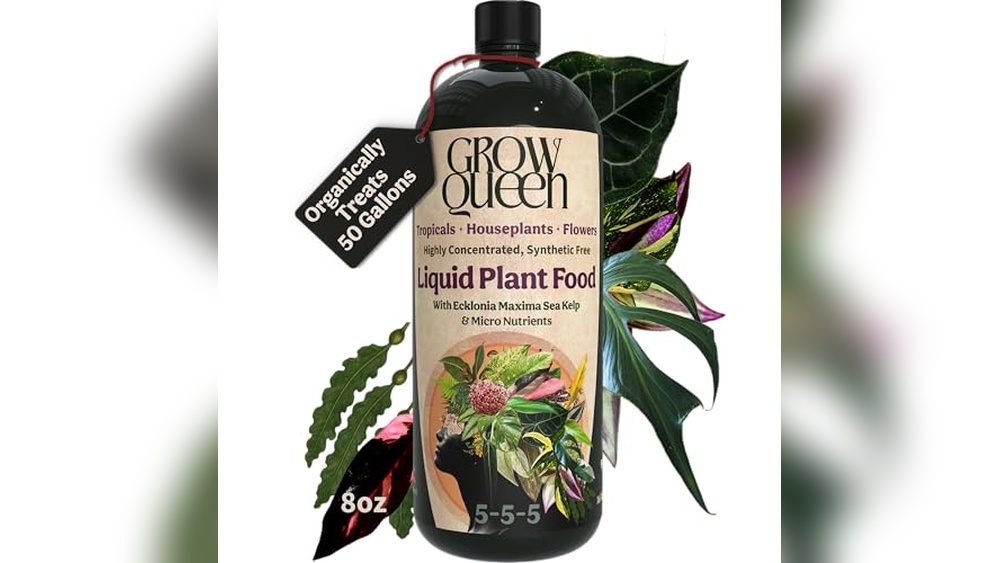 best organic fertilizer for houseplants