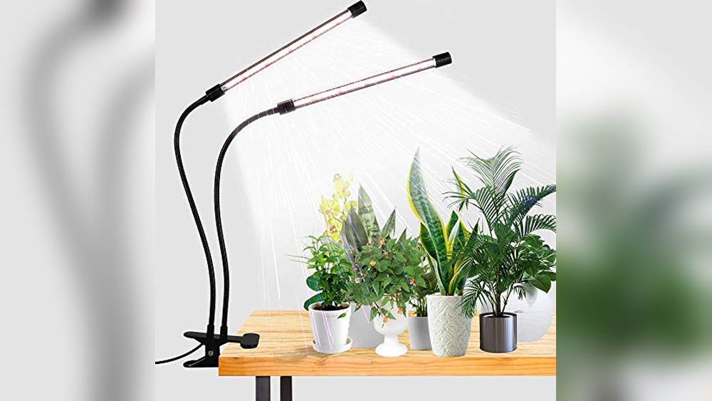 best plant lights indoor plants