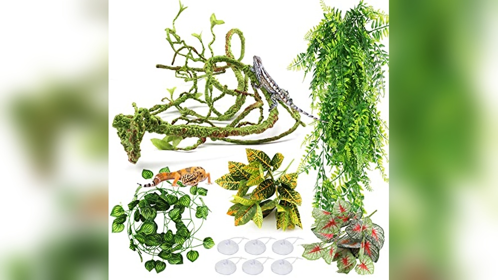 best plants for ball python