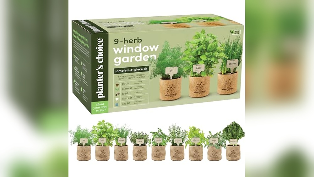 best plants for mothers day