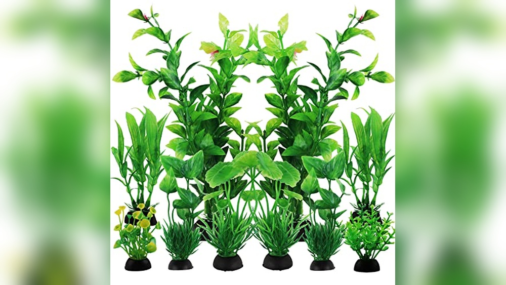 best plants for turtle tank