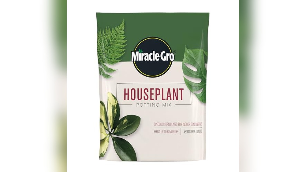 best potting soil for houseplants