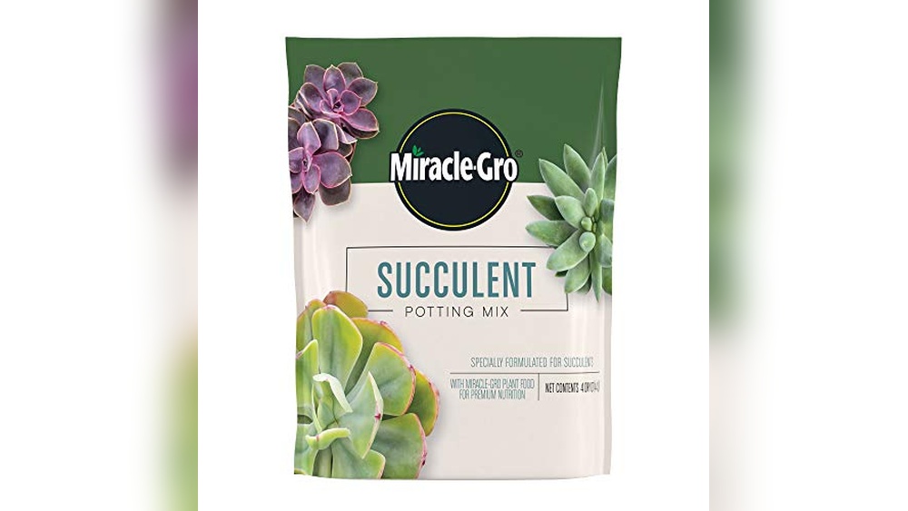 best soil for cactus plants