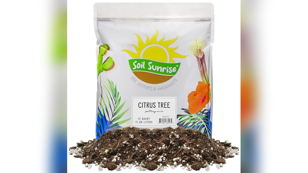 best soil for citrus plants