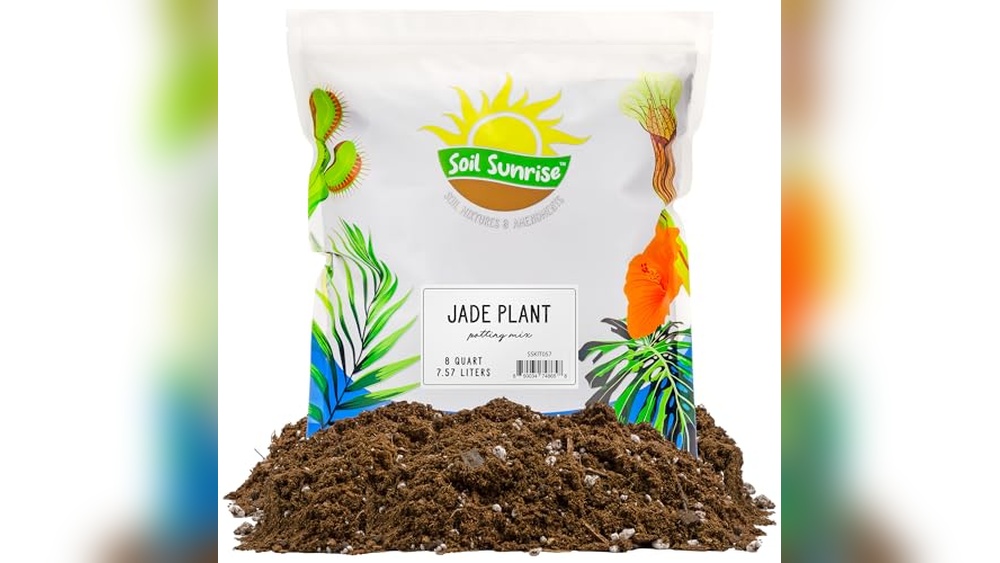 best soil for jade plants
