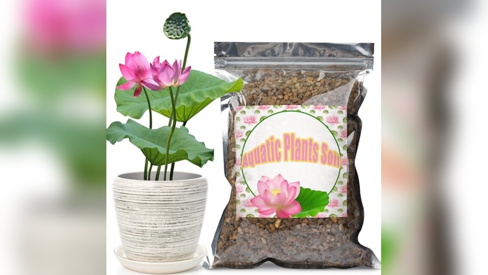 Best Soil for Lotus Plants 2026: Top Picks for Healthy Growth
