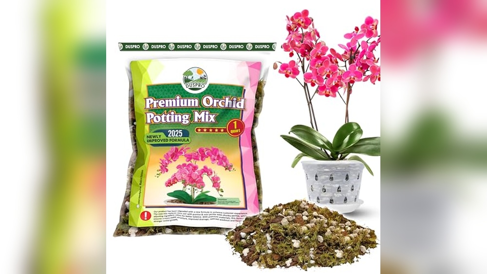 best soil for orchid plants