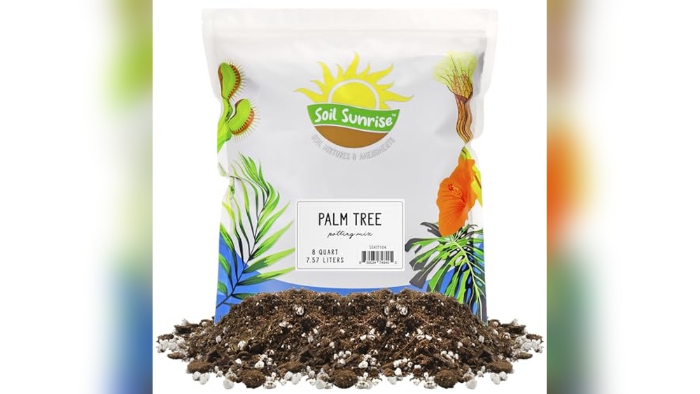 best soil for palm plants