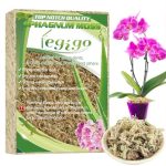 best sphagnum moss for plants