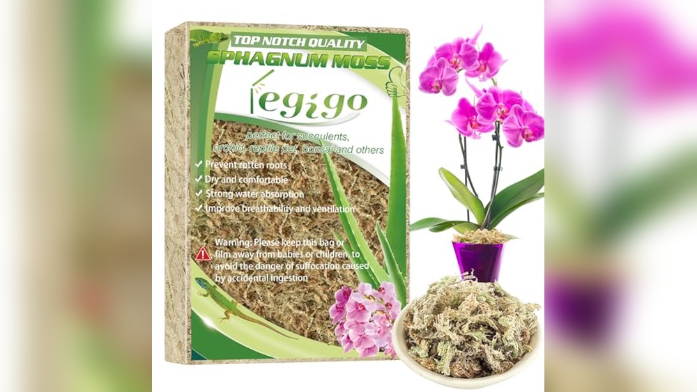 best sphagnum moss for plants
