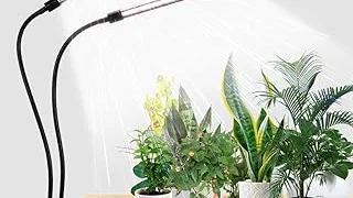 Top 10 Best Indoor Light for Plants Review