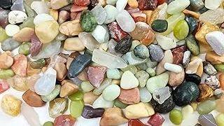 Top 10 Best Pebbles for Indoor Plants Review