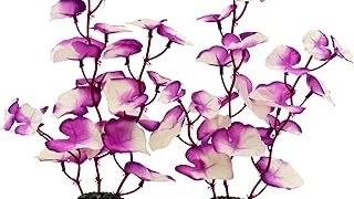 Top 10 Best Plants for Betta Vase Review
