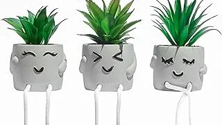 Top 10 Best Plants for a Cubicle Review