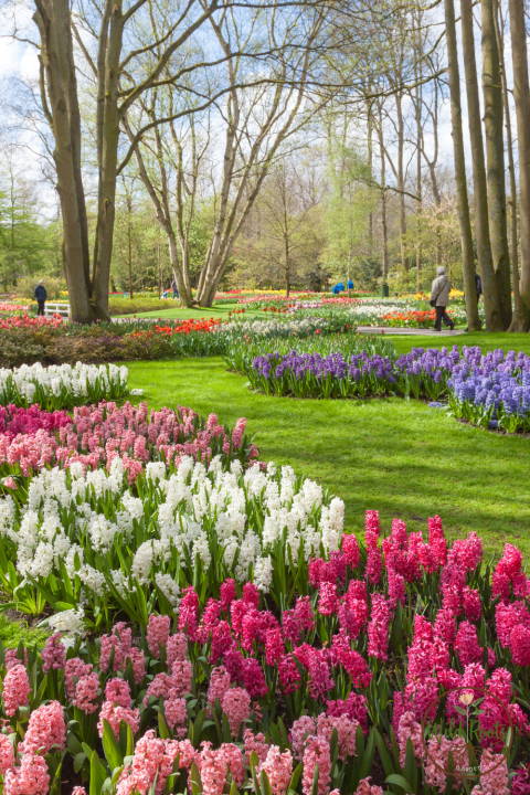 15 Most Beautiful Gardens in the World