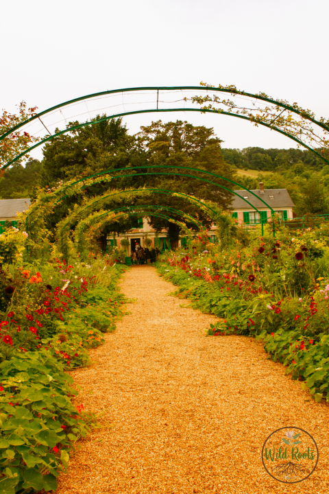Claude Monet&rsquo;s Garden &ndash; Giverny, France