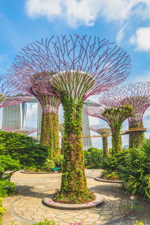 Gardens by the Bay &ndash; Singapore