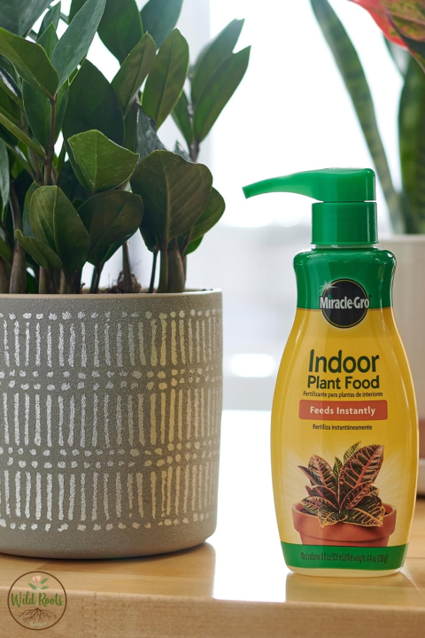 The Ultimate Guide to Plant Food for Indoor Plants: Best Picks