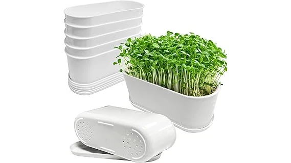 Best 5 Fiber Balcony Pots for Cactus and Succulents Review