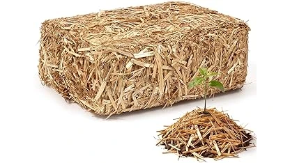 Best 5 Straw Mulch for Vegetable Garden Review