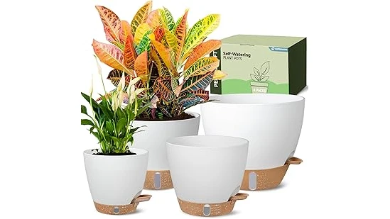 Best 5 Water Saving Balcony Pots With Smart Design Review