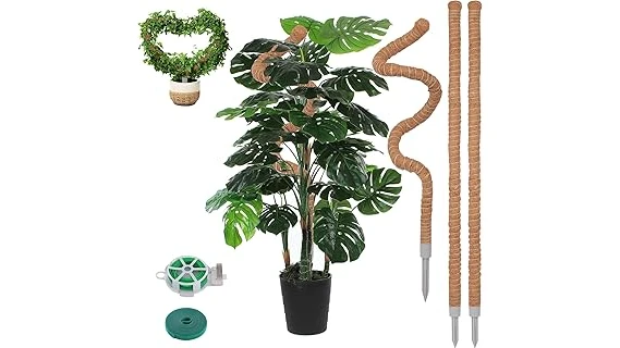 This image shows five different types of popular moss poles for houseplants to help them grow.
