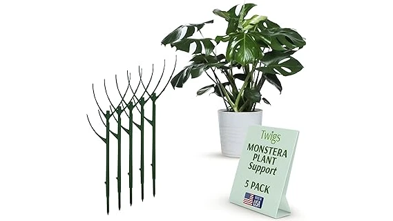 Top 10 Best Climbing Plants for Pots in Shade