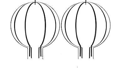 Top 10 Evergreen Climbing Plants for Pots