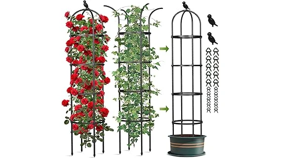 Top 10 Low-maintenance Climbing Plants for Pots