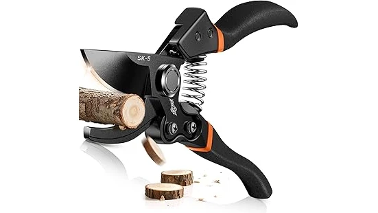 Top 5 Best Pruning Shears for Home Gardeners for Raised Beds