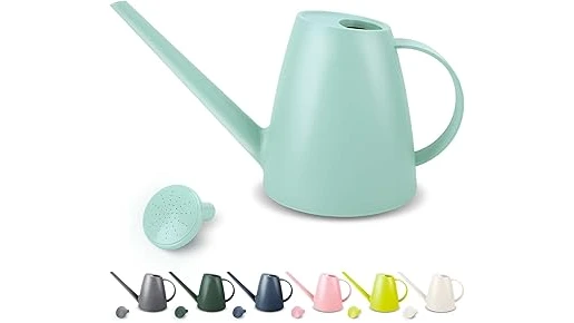 The image shows a lush green houseplant being watered from a stylish watering can, highlighting the best water choices.