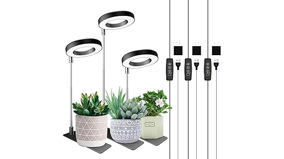 The image shows lush green pet-friendly indoor plants thriving in a dimly lit room.