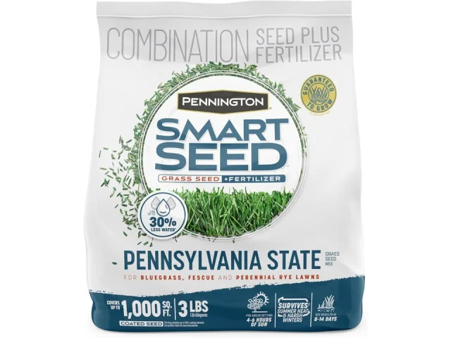 Pennington Smart Seed PA State Grass Mix 3lb – Honest Review