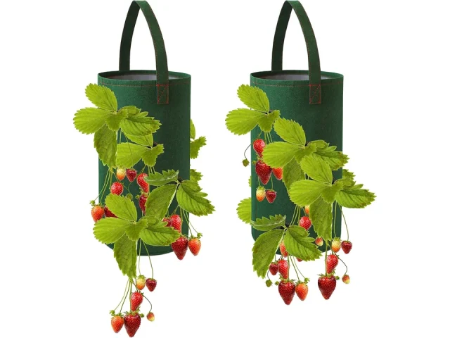 Pri Gardens Hanging Strawberry Planter – In-Depth Review
