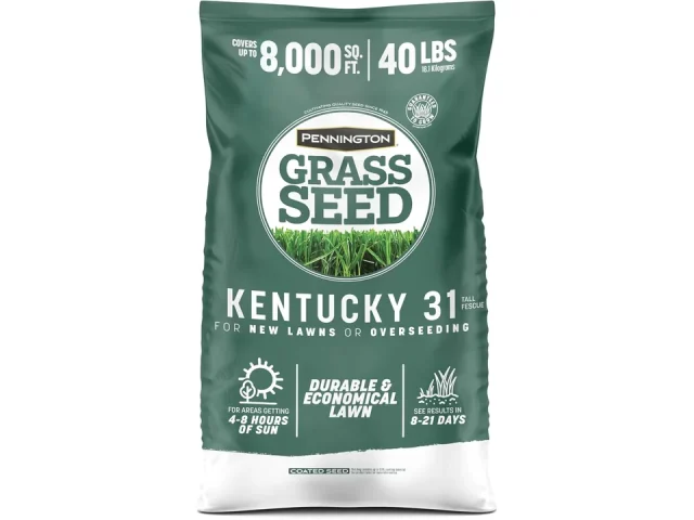 Pennington 100% Kentucky 31 Tall Fescue Penkoted Grass Seed