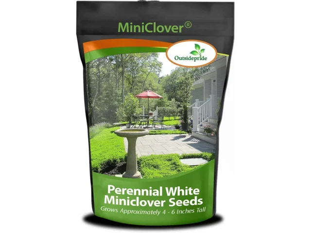Outsidepride Perennial White MiniClover Seed – In-Depth