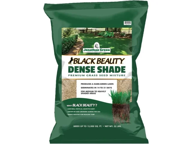 Jonathan Green Black Beauty Dense Shade Grass Seed: Honest