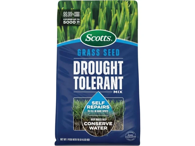 Scotts Grass Seed Drought Tolerant Mix – Kentucky: Pros &
