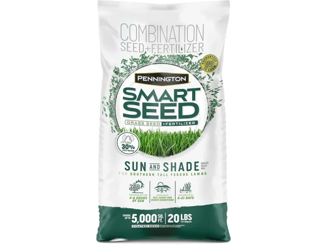 Pennington Smart Seed Sun Shade Tall Fescue: In-Depth Review