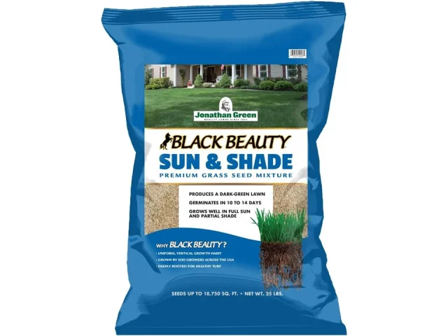 Jonathan Green Black Beauty Sun & Shade Grass – Honest