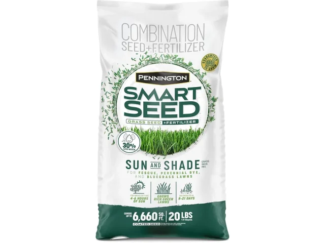 Pennington Smart Seed Sun Shade – In-Depth Review